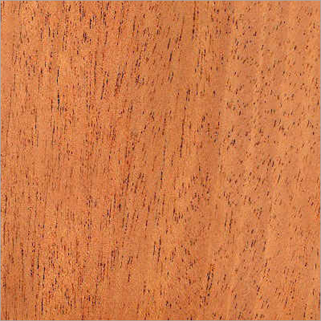 African Mahogany