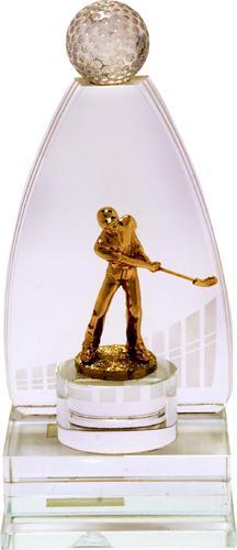 3d Crystal Trophies