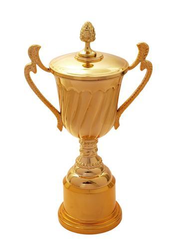 Imported Metal Trophies