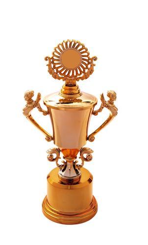 Metal Trophy Cups