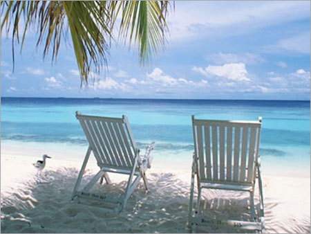 Tour And Travels Package