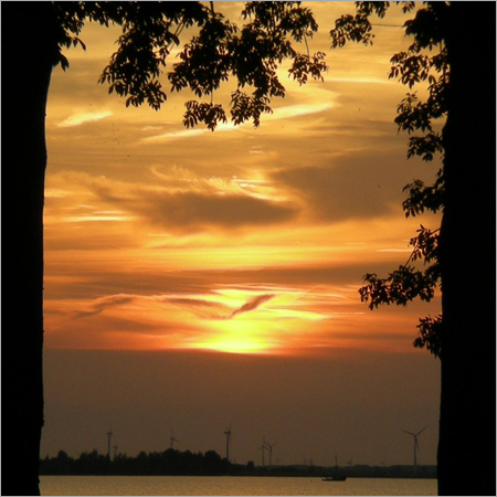 Nature Picture Frames