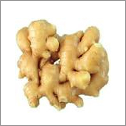 Fresh Ginger Roots