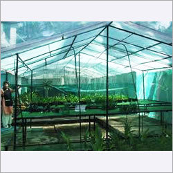 Commercial Green House