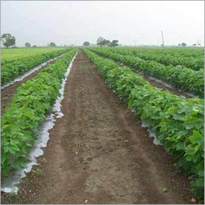 Cotton Mulching Film Hardness: Soft