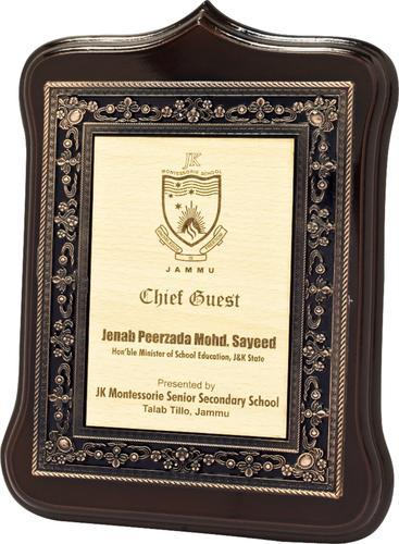 Corporate Award Trophy