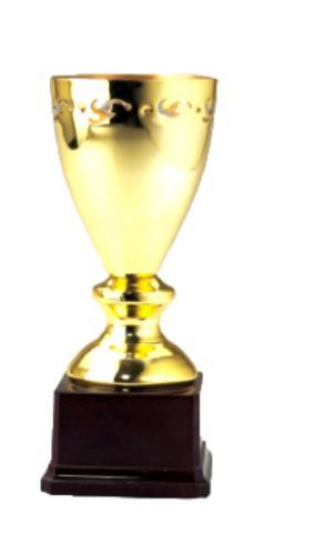 Education Trophy Metal Awards