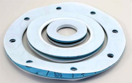 PTFE Ring Gaskets By DHWANI POLYMER INDIA PRIVATE LIMITED
