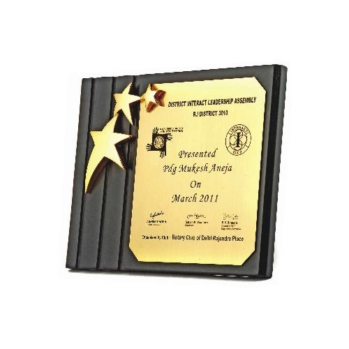 Cricket Wooden Awards