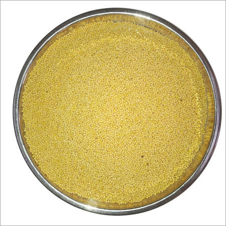 Yellow Mustard Small