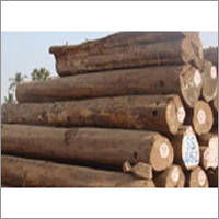 Burmese Teak Burmese Teak