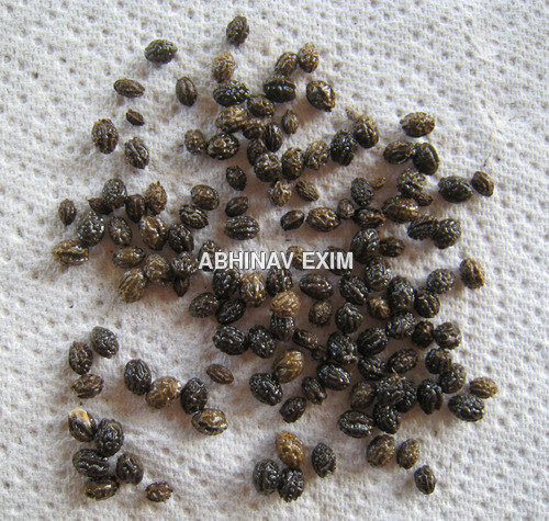 Papaya Seeds