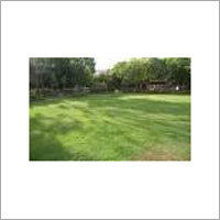 Residentoial Land