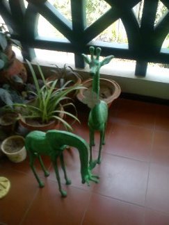 Garden Accessories
