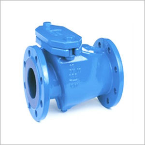 CI Reflux Valve