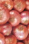 Nasik big onion