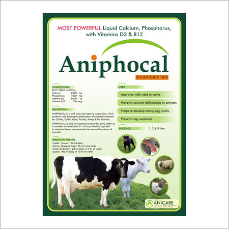 Cattle Feed Supplements