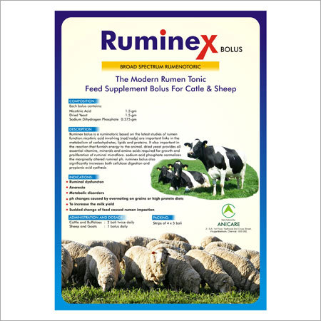 Powder Sheep Feed Supplements