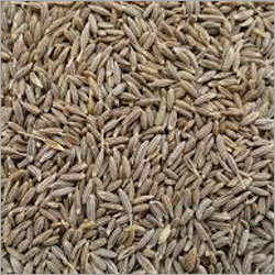 Cumin Seeds