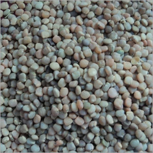 Guar Gum Seeds