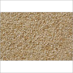 Indian Sesame Seeds