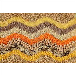 Food Grains