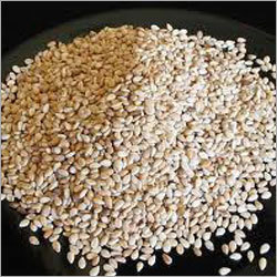 Sesame Seeds