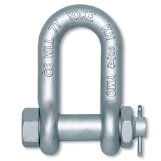 Forged Alloy Chain Shackle with Bolt Pin