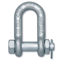 Forged Chain Shackle with Bolt Pin