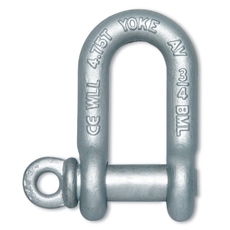 Forged Chain Shackle with Screw Pin