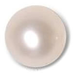 PEARL Moti