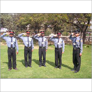 VIP Security Protection Services