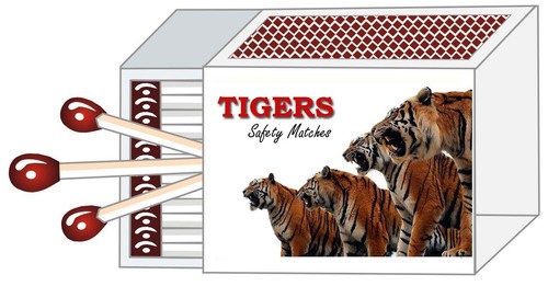 Tiger Safety Matches