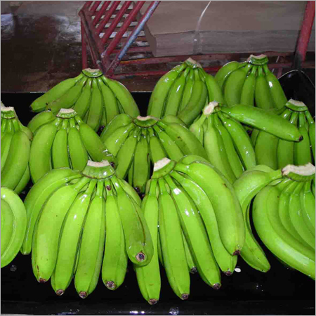 Cavendish Banana