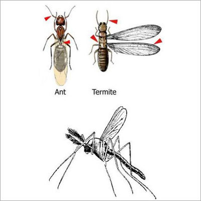 Biological Pest Control