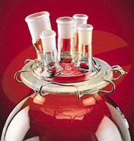 Glass Flask Vessels Reaction