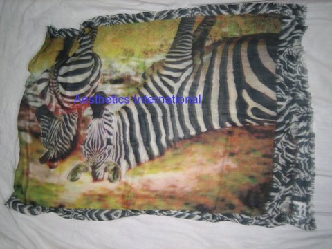 Silk Printed Scarves