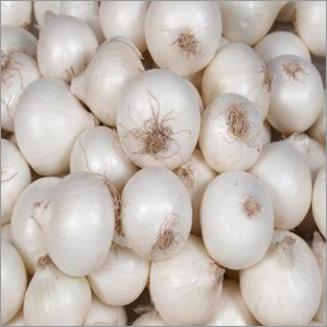 White Onion
