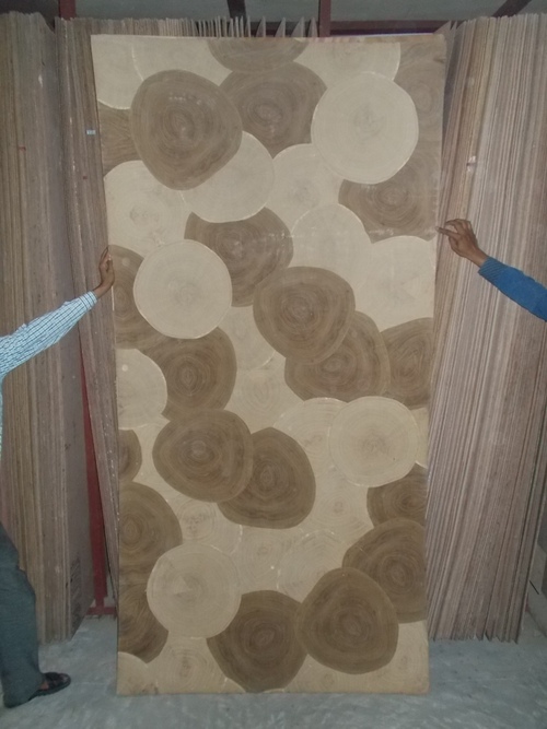 Film Faced Plywood By TOP PLYWOODS PVT. LTD.
