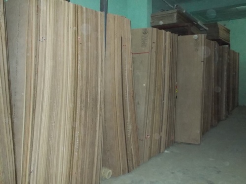 Phenolic Plywood By TOP PLYWOODS PVT. LTD.