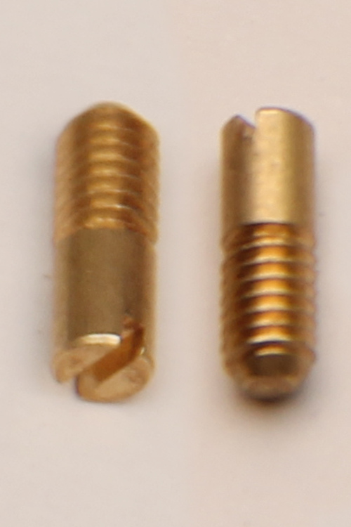 Grub Brass Screw