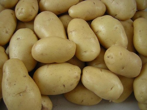 potato