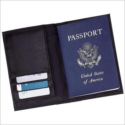 Fancy Passport Holder