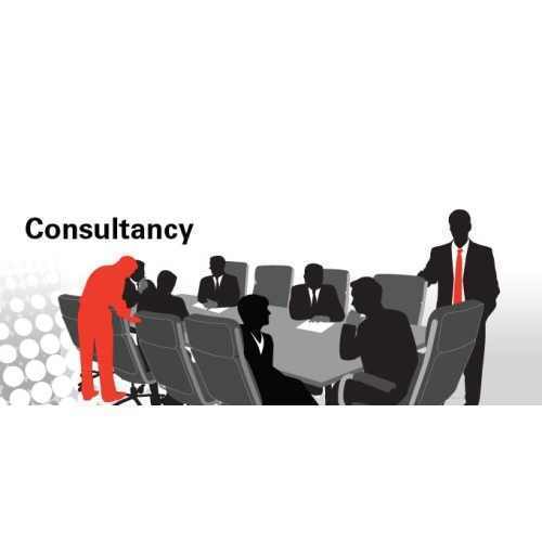 Consultancy Services