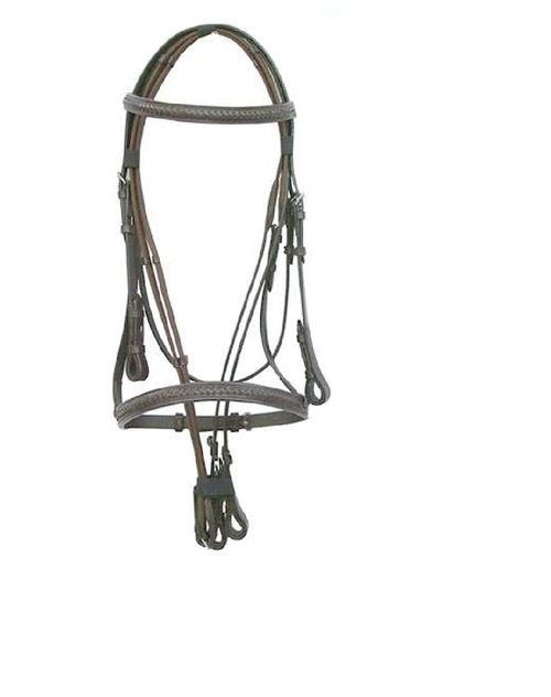 Leather Horse Bridle