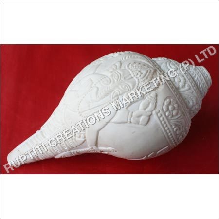 God Carved Shankha