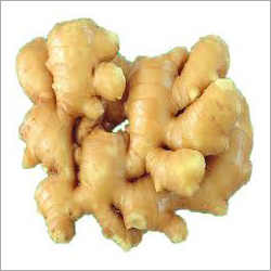 Raw Ginger Roots