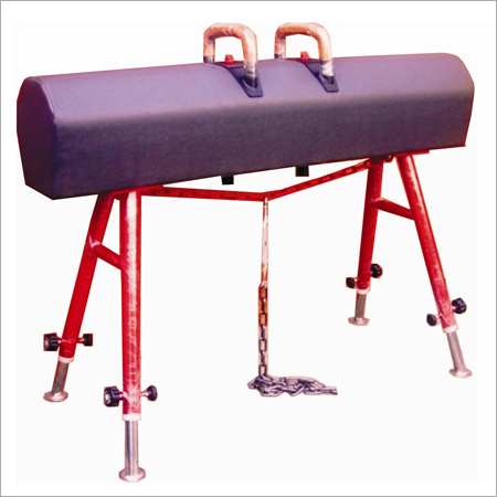 Gymnastics Pommel Horse