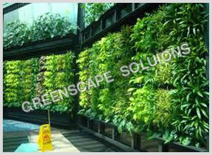Green Vertical Garden