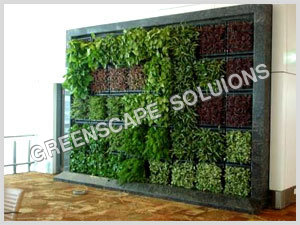Bio Wall Gardens - Customizable Dimensions, Metal Frame, Automated Irrigation | Aesthetic Appeal, Eco-friendly Design, Low Maintenance, Versatile Design